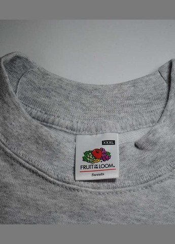 Світшот чоловічий Classic set-in sweat (062202036L) Fruit of the Loom (311606843)