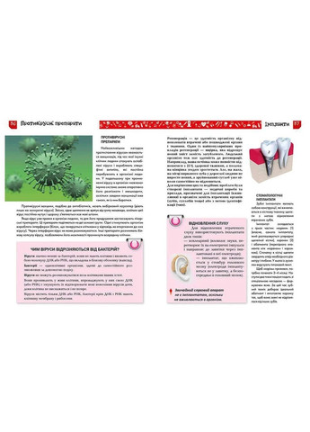 Я знаю, как это работает Талант (370075017)