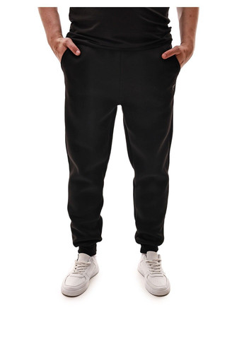 Штани спортивні чоловічі No Brand (366820475)