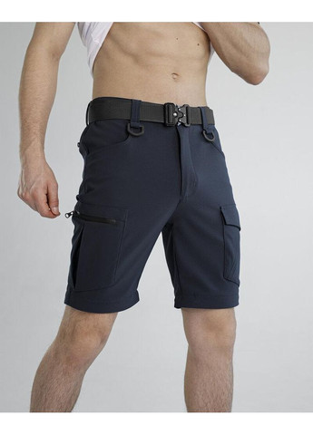 Синие повседневный демисезонные брюки Freedom