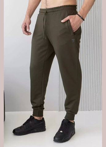 Штани джогери чоловічі TOTALFIT (322873637)