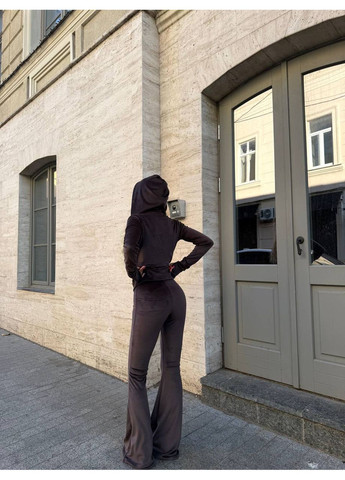 Жіночий велюровий спортивний костюм FINO Mode (360404758)