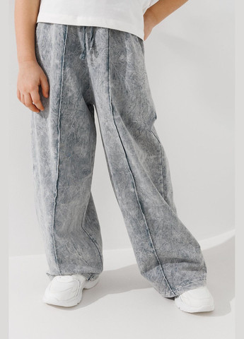 Серые спортивные демисезонные брюки Benini