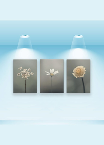 Набор постеров Цветочная мгла (PS-002) 3 шт. Riviera Blanca (303135454)