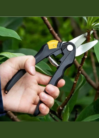 Секатор садовый, профессиональный DELI No Brand (294721502)