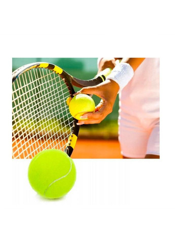 Набір м'ячів для великого тенісу SWDN Tennis Ball NE-TT-3, 3 штуки Newt (317268677)