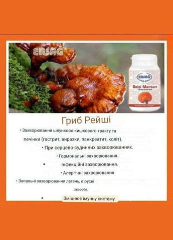 Гриб РЕЙШЕ 60 капсул от ERSAG (329436490)