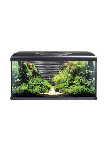 Аквариум на 85 л с фоном Камни, светодиодным освещением, фильтром и обогревателем SYSTEM 80 LED (*) STREAM (304424794)