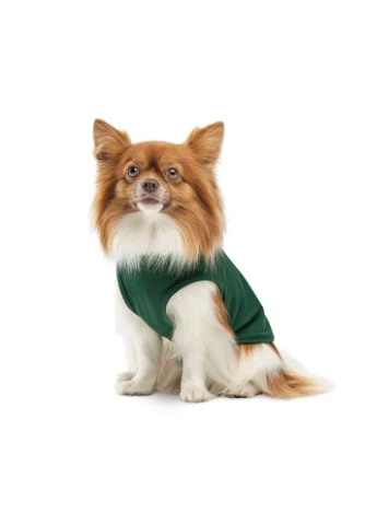 Борцівка Kale ТМ для собак зелена Pet Fashion (377872740)