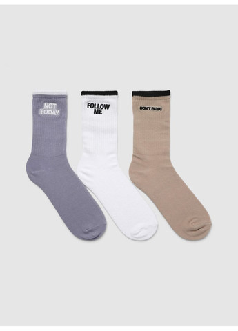 Сині набір шкарпеток жін Terranova смужки (363045513)