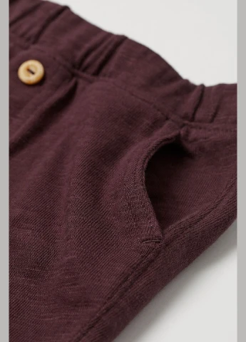 Штани демісезон,бордовий, H&M (322717249)