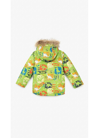 Салатовая зимняя куртка для мальчика xt-9 116 см салатовый shop (2000990606464) No Brand