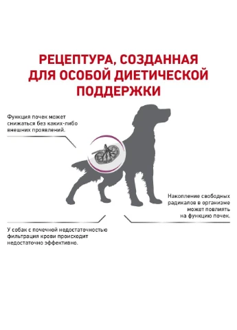 Диета Early Renal для собак при ранней стадии почечной недостаточности 2 кг (3182550915625) Royal Canin (279571729)