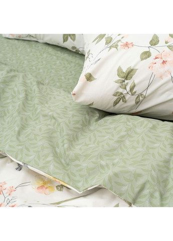 Комплект постільної білизни сімейний ранфорс Viluta 25358-sm (372448472)