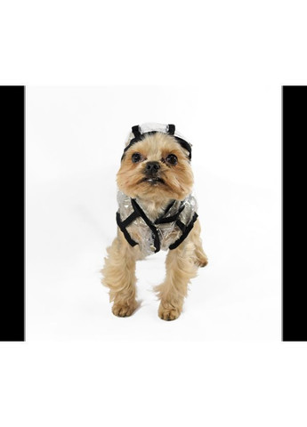 Ветровка Дождик для породы Йорк Прозрачная №1, 28 х 40 см (6820479483016) Lucky Pet (302315296)