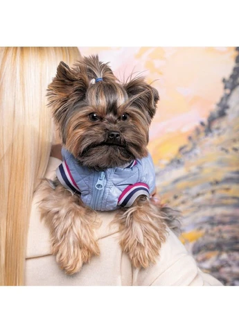 Бомбер Spike для собак L Pet Fashion (377872481)