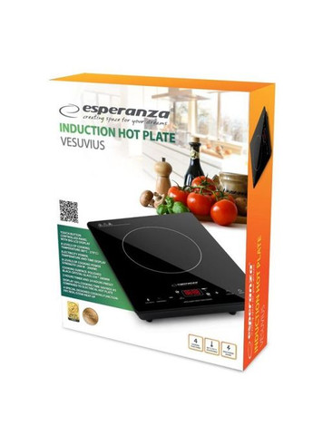 Настольная плита Esperanza EKH009 (354227597)