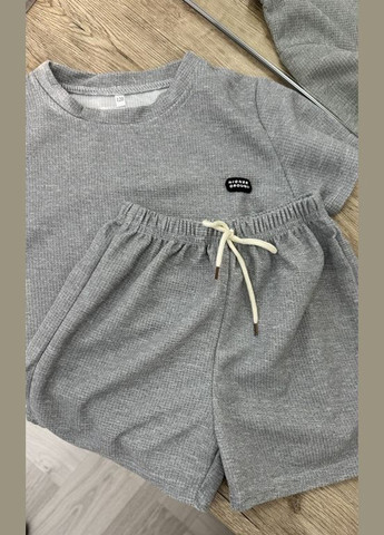 Сірий літній дитячий костюм для хлопчика шорти + футболка з шортами BabyStyle