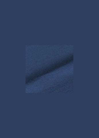 Синя футболка odal logo 2.0 синій Camotec