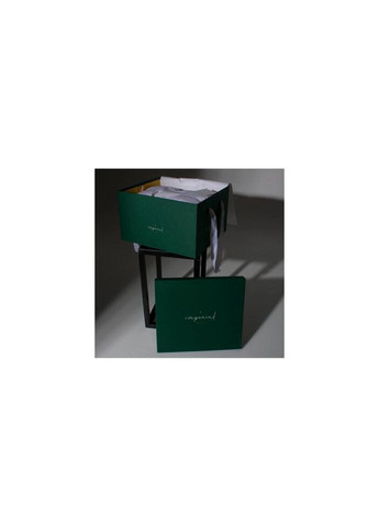 Одеяло Imperial Style Зима 100% пух 200х220 (2200007177578) Mirson (315027456)