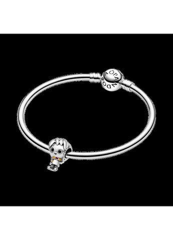 Серебряный шарм Пандора "Гарри Поттер" 798626C01 Kabluchka (355344600)