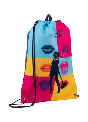 Сумка для обуви цвет разноцветный CB-00225159 Kite (314892321)