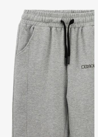 Серые спортивные демисезонные брюки Lizi Kids