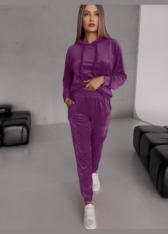 Велюровий костюм No Brand (301938821)