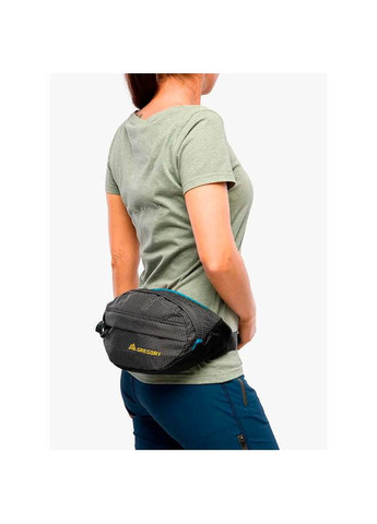 Поясная сумка Nano Waistpack 3.5 L Techno Black (126861/9969) Gregory (322200514)