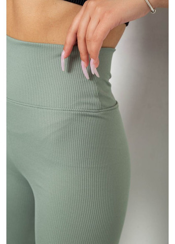 Лосины однотонные в рубчике, 238R606-1 Ager (365075556)