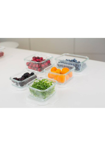 Контейнер miFamilia 1000 мл Nested collection (6034) Mi Familia (316034640)