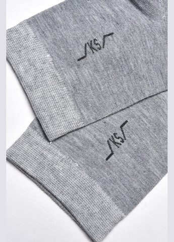 Серые носки мужские демисезонные серого цвета Let's Shop однотонные (299684873)