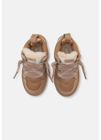 Жіночі уггі Lowmel Black 1144032 UGG (362207124)