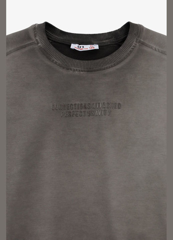 Leyz свитшот с принтом для мальчика 10066 146 см shop (2000990915771) синий повседневный