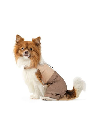 Шлея-костюм Darcy ТМ для собак бежева (*) Pet Fashion (323219627)