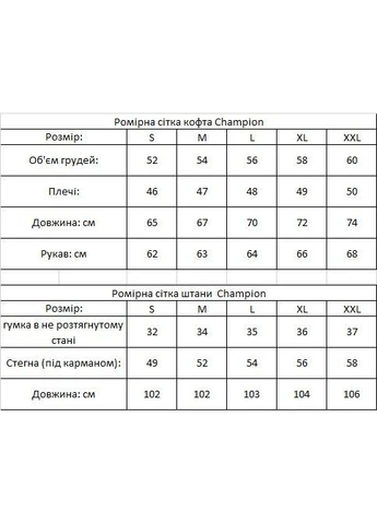 Набор Champ жилет зип худи штаны 2 пары носков в подарок No Brand (403299029)