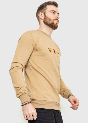 Свитшот мужской демисезонный,, 208R0204 Ager (315789399)