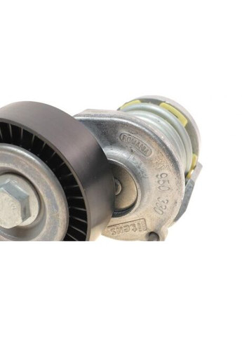 Комплект ремня генератора 529 0521 20 Ina (345783303)