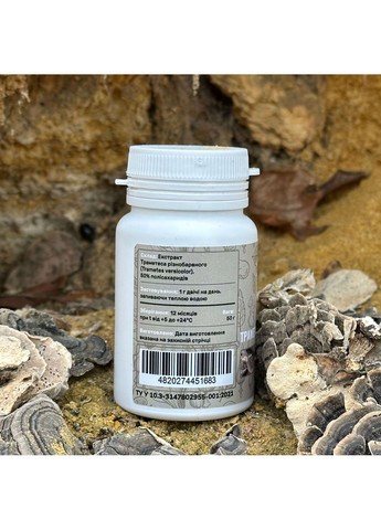 Траметес разноцветный, экстракт 10:1, молотый 50 г Лісовик (334711123)