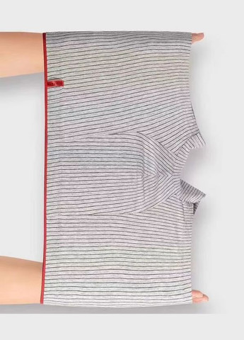 Трусы мужские боксеры из ледяного шелка 4 шт. No Brand (302805521)