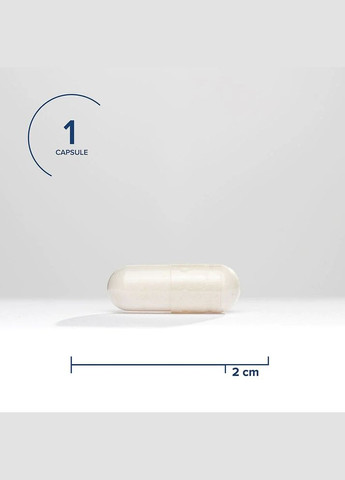 Витамины и минералы L-5-MTHF 1700 mcg DFE, 60 вегакапсул Seeking Health (322294914)