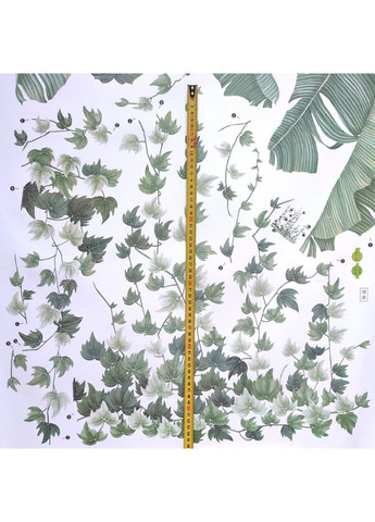 Наклейка на стіну Зелені рослини, що звисають (лист 60 х 100 см) Б296-31 No Brand (361893981)