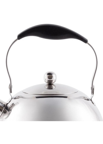 Чайник Elis 3л из нержавеющей стали со свистком Fissman (372174303)