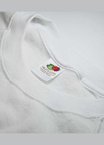 Реглан мужской Classic raglan sweat Фиолетовый (0622160PEL) Fruit of the Loom (311607918)