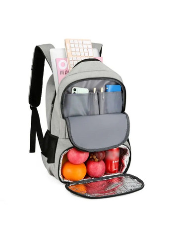 Рюкзак повсякденний на кожен день для подорожей з термовідділом кишенею холодильником 48х32х15 см (478020-Prob) Темно-сірий Unbranded (301699332)