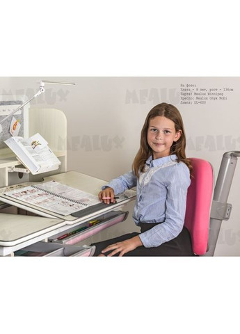 Парта (BD630 MG+G Multicolor) Mealux Winnipeg Multicolor Gray (301219633)