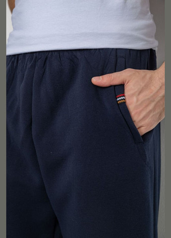 Темно-синие спортивные, кэжуал зимние брюки Ager