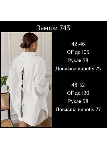 Вишукана жіноча сорочка Luna (355339865)