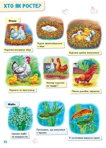 Малюкові про все на світі РАНОК (393735135)