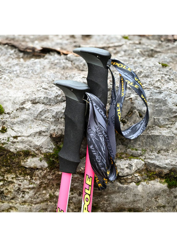 Треккинговые палки Trekker Violet (S25 11) Vipole (373017929)